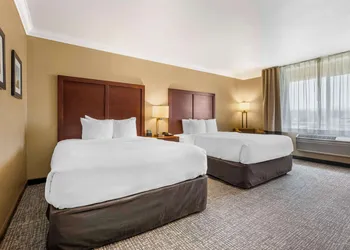 Comfort Inn & Suites Redwood Country hotel thumbnail 4