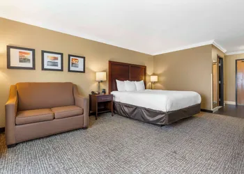 Comfort Inn & Suites Redwood Country hotel thumbnail 8
