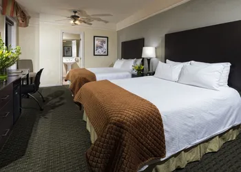 The Willows Hotel hotel thumbnail 8