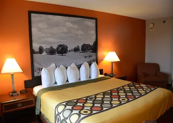 Super 8 by Wyndham Louisville/Expo Center hotel thumbnail 6