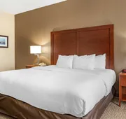 Comfort Inn Louisville Southwest hotel detail image 4