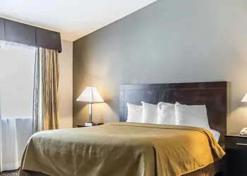 Quality Inn & Suites University/Airport hotel thumbnail 3