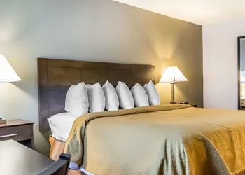 Quality Inn & Suites University/Airport hotel thumbnail 5