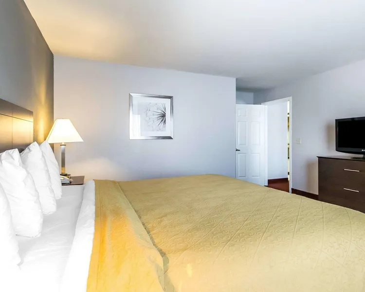 Quality Inn & Suites University/Airport hotel detail image 6