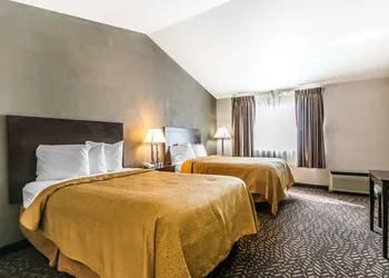 Quality Inn & Suites University/Airport hotel thumbnail 8
