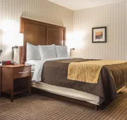 Quality Inn Half Moon Bay/Miramar Beach hotel detail image 3