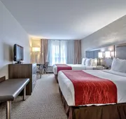 Comfort Inn And Suites South hotel detail image 3
