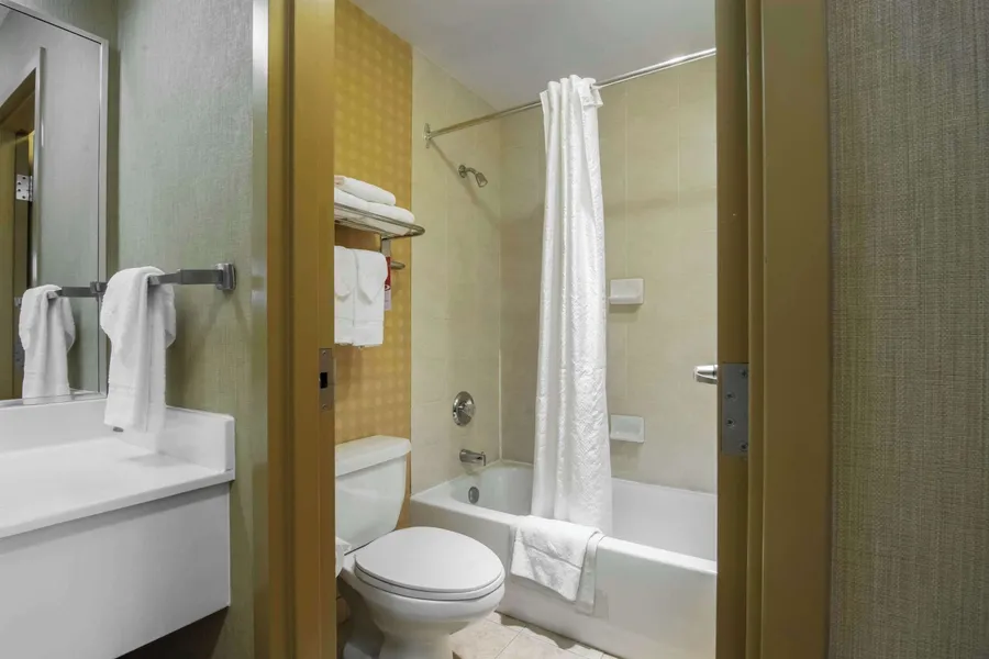 Econo Lodge Inn & Suites University hotel detail image 6