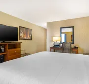 Best Western Plus Houston Energy Corridor hotel detail image 7