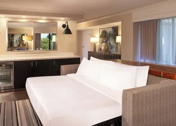 Marriott Raleigh Durham Research Triangle Park hotel thumbnail 5