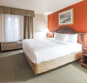 The Elms Hotel hotel detail image 5