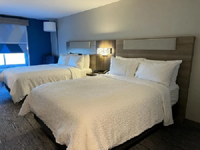 Holiday Inn Express Rensselaer by IHG hotel detail image 6