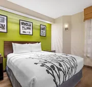 Sleep Inn at Greenville Convention Cente hotel detail image 5