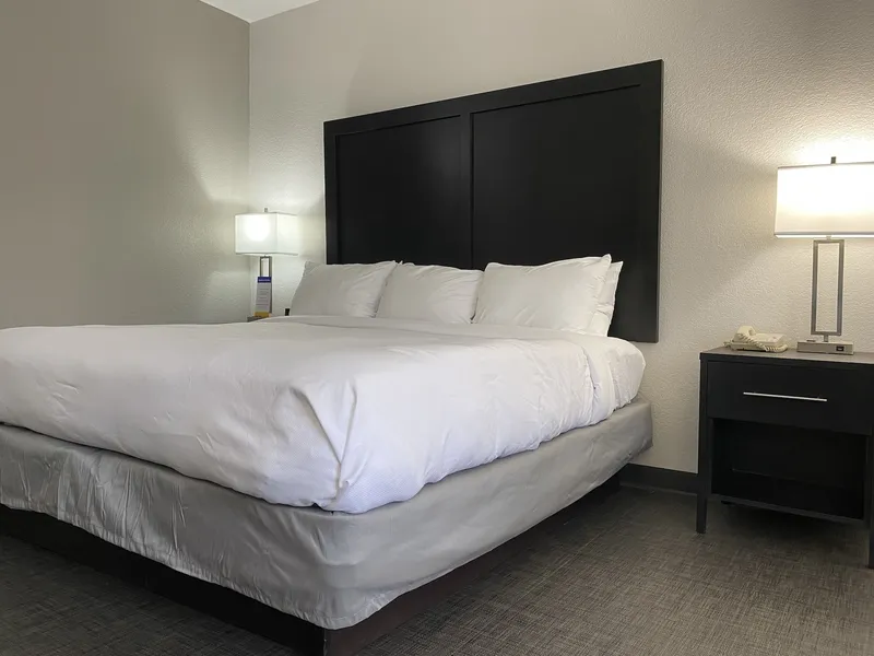 Comfort Inn & Suites Greer - Greenville hotel detail image 6