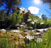 Mount Princeton Hot Springs Resort hotel detail image 7