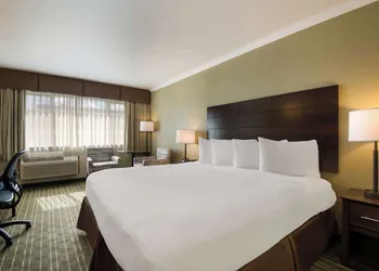 Best Western Holiday Hotel hotel thumbnail 6