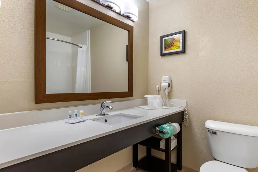 Comfort Inn Oklahoma City South - I-240 hotel detail image 6