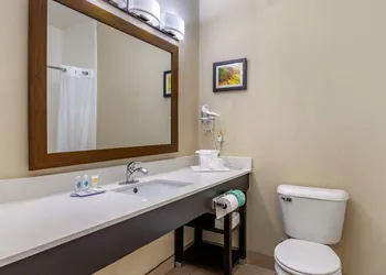 Comfort Inn Oklahoma City South - I-240 hotel thumbnail 8