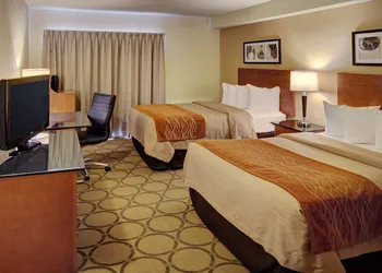 Comfort Inn Riviere-du-Loup hotel thumbnail 7