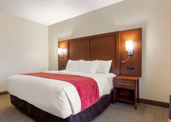 Comfort Suites Copperas Cove hotel thumbnail 7