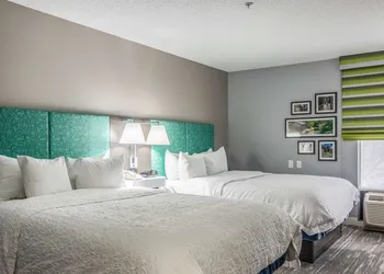 Hampton Inn Youngstown-North hotel thumbnail 8