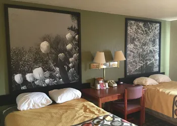 Super 8 by Wyndham Youngstown/Austintown hotel thumbnail 8