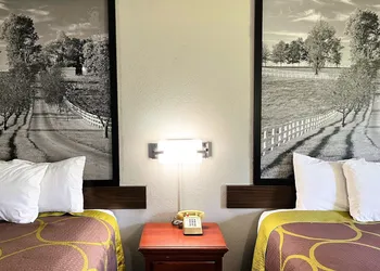 Super 8 by Wyndham Vincennes hotel thumbnail 4