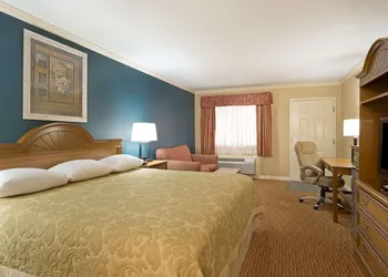 Super 8 by Wyndham Covington hotel thumbnail 8