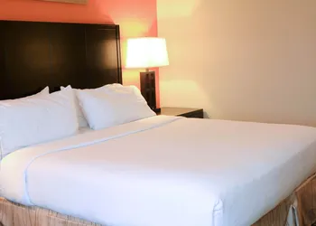 Holiday Inn Express Hotel & Suites Grand Island by IHG hotel thumbnail 3