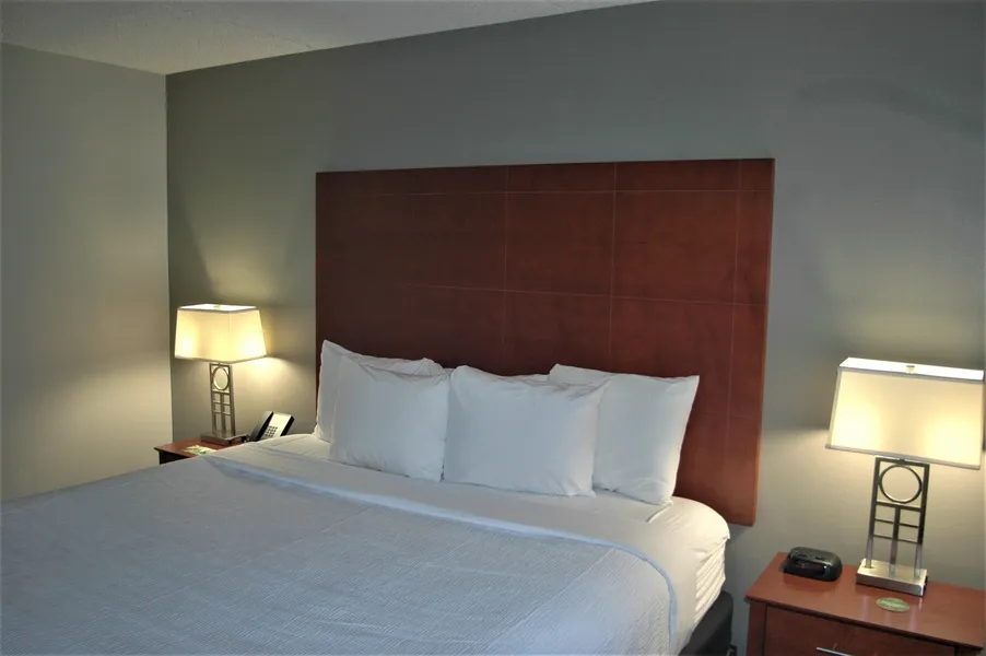 Wingate by Wyndham Valdosta/Moody AFB hotel detail image 6