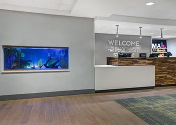 Hampton Inn Westfield hotel thumbnail 2