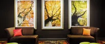 Hotel thumbnail 3