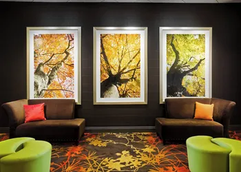 Sheraton Springfield Monarch Place Hotel hotel thumbnail 3