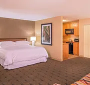 Sheraton Springfield Monarch Place Hotel hotel detail image 5