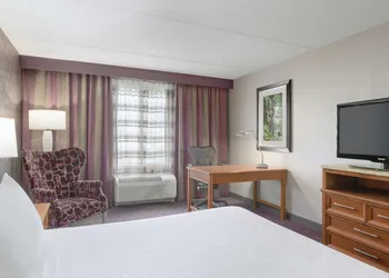 Hilton Garden Inn-Springfield, MA hotel thumbnail 5