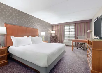 Hilton Garden Inn-Springfield, MA hotel thumbnail 6