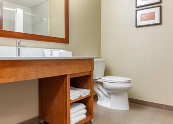 Comfort Suites Dover University Area hotel thumbnail 8