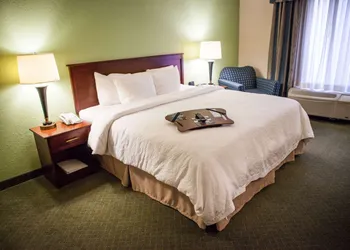 Hampton Inn & Suites Springfield-Southwest hotel thumbnail 8