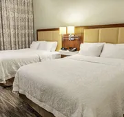 Hampton Inn Minneapolis/St. Paul-Woodbury hotel detail image 7
