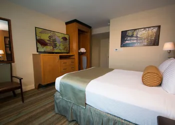 Best Western Queens Gold Coast hotel thumbnail 5