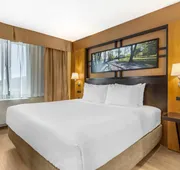 Best Western Queens Gold Coast hotel detail image 7