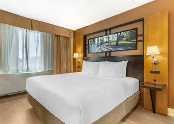 Best Western Queens Gold Coast hotel thumbnail 7