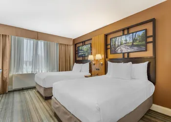 Best Western Queens Gold Coast hotel thumbnail 8