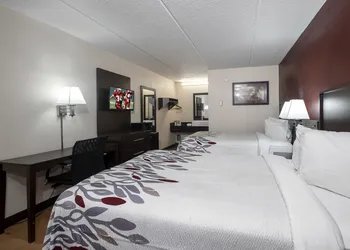 Red Roof Inn Champaign - University hotel thumbnail 8