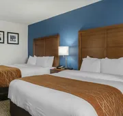 Comfort Inn East hotel detail image 4