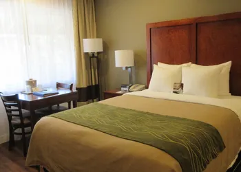 Comfort Inn Bishop hotel thumbnail 8