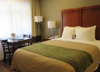 Comfort Inn Bishop hotel thumbnail 8