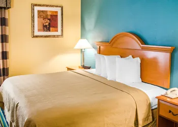 Quality Inn & Suites Medina - Akron West hotel thumbnail 8