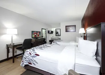 Red Roof Inn Cleveland - Medina hotel thumbnail 3