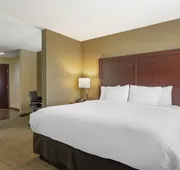 Comfort Suites Locust Grove Atlanta South hotel detail image 7